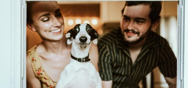 man in black and white striped shirt beside woman in black and white stripe shirt by Chewy courtesy of Unsplash.